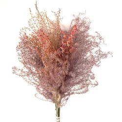 Sausa miskantų ir laukinių rūgštynių puokštė, 60cm
