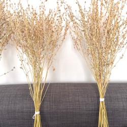 Dried plants bouquet, length 50cm