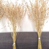 Dried plants bouquet, length 50cm