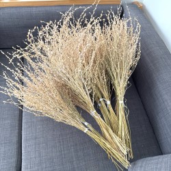 Dried plants bouquet, length 50cm