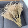 Dried plants bouquet, length 50cm