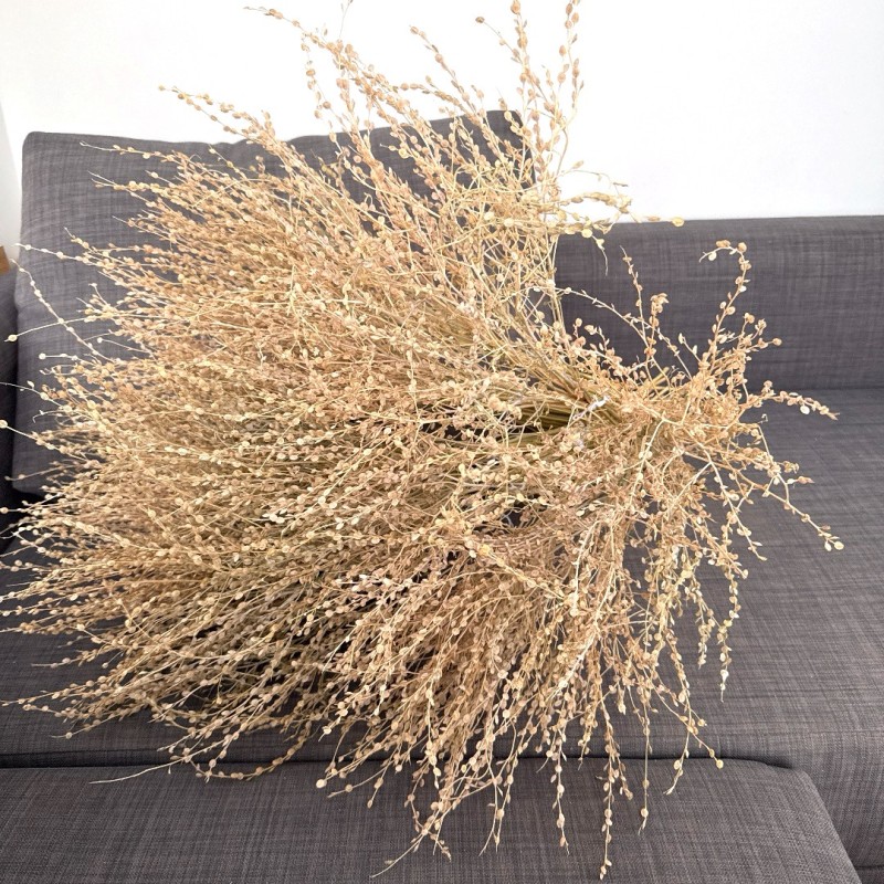Dried plants bouquet, length 50cm