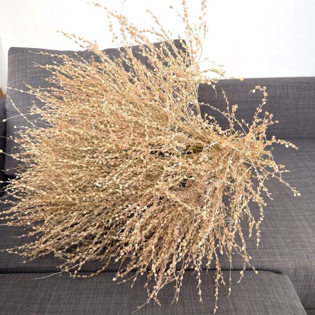 Dried plants bouquet, length 50cm