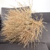 Dried plants bouquet, length 50cm