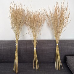 Dried plants bouquet, length 50cm